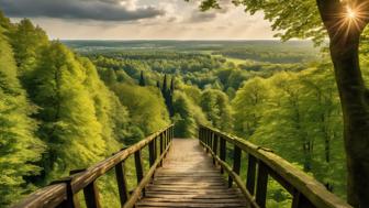 Sehenswürdigkeiten Teutoburger Wald: Entdecken Sie die schönsten Ausflugsziele der Region